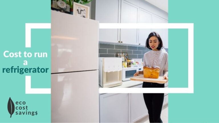 Cost of running a refrigerator picture of woman in kitchen beside a fridge | Eco Cost Savings