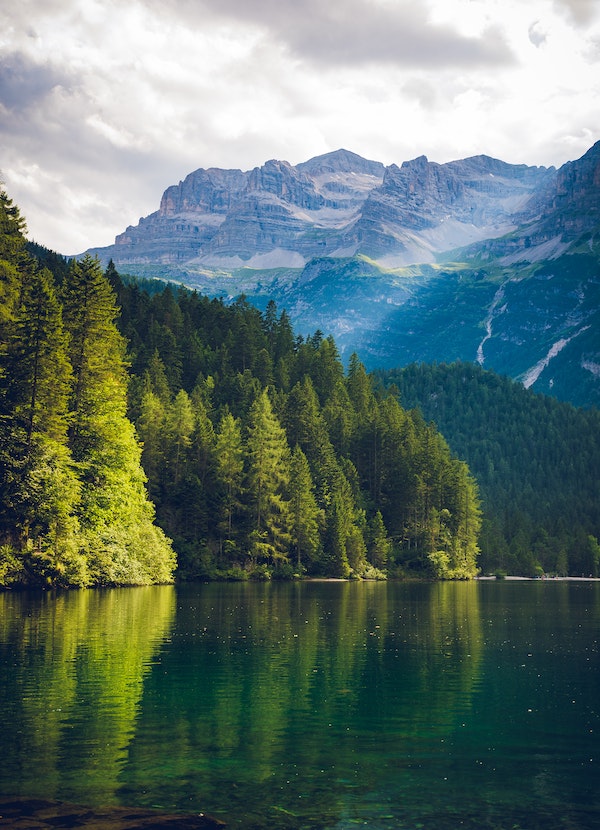 Image of green trees, water and a mountain range